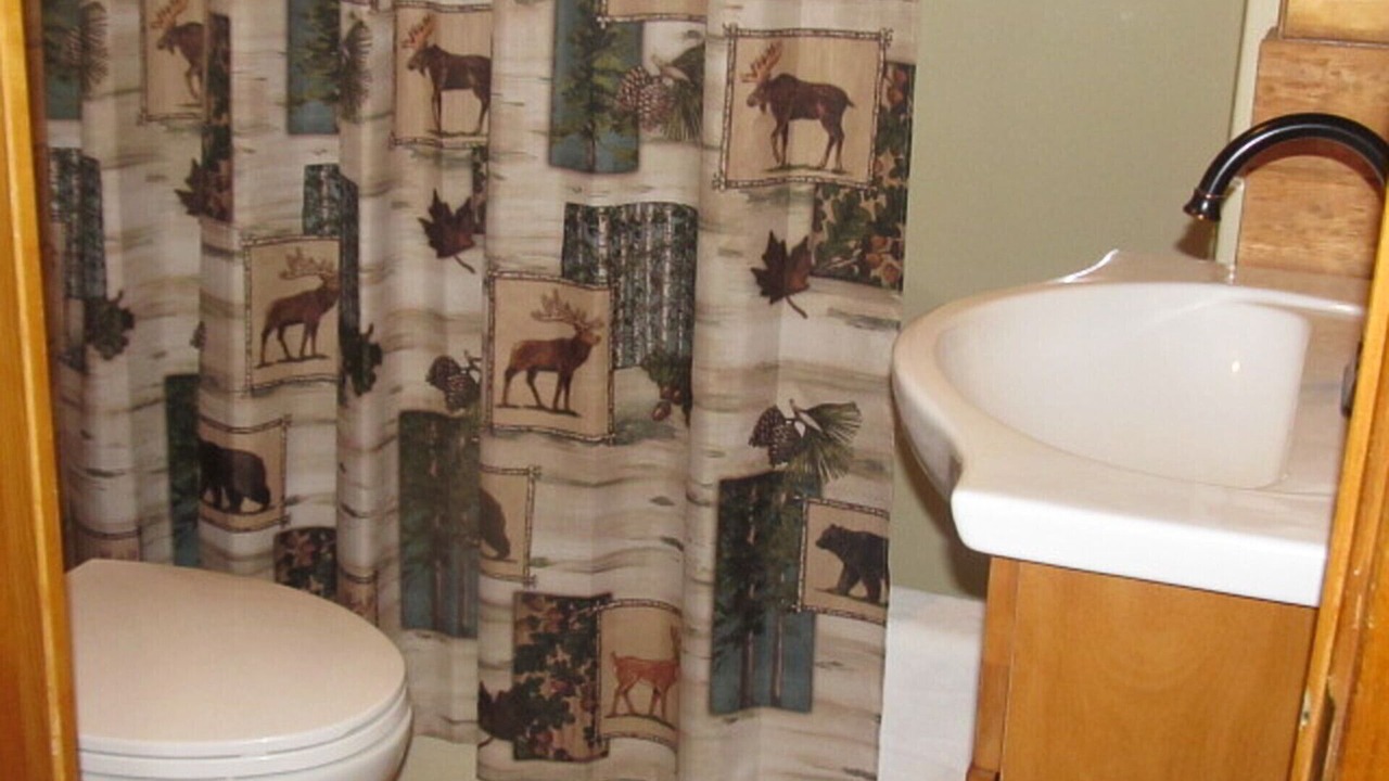 Photo of Bathroom in Wapiti