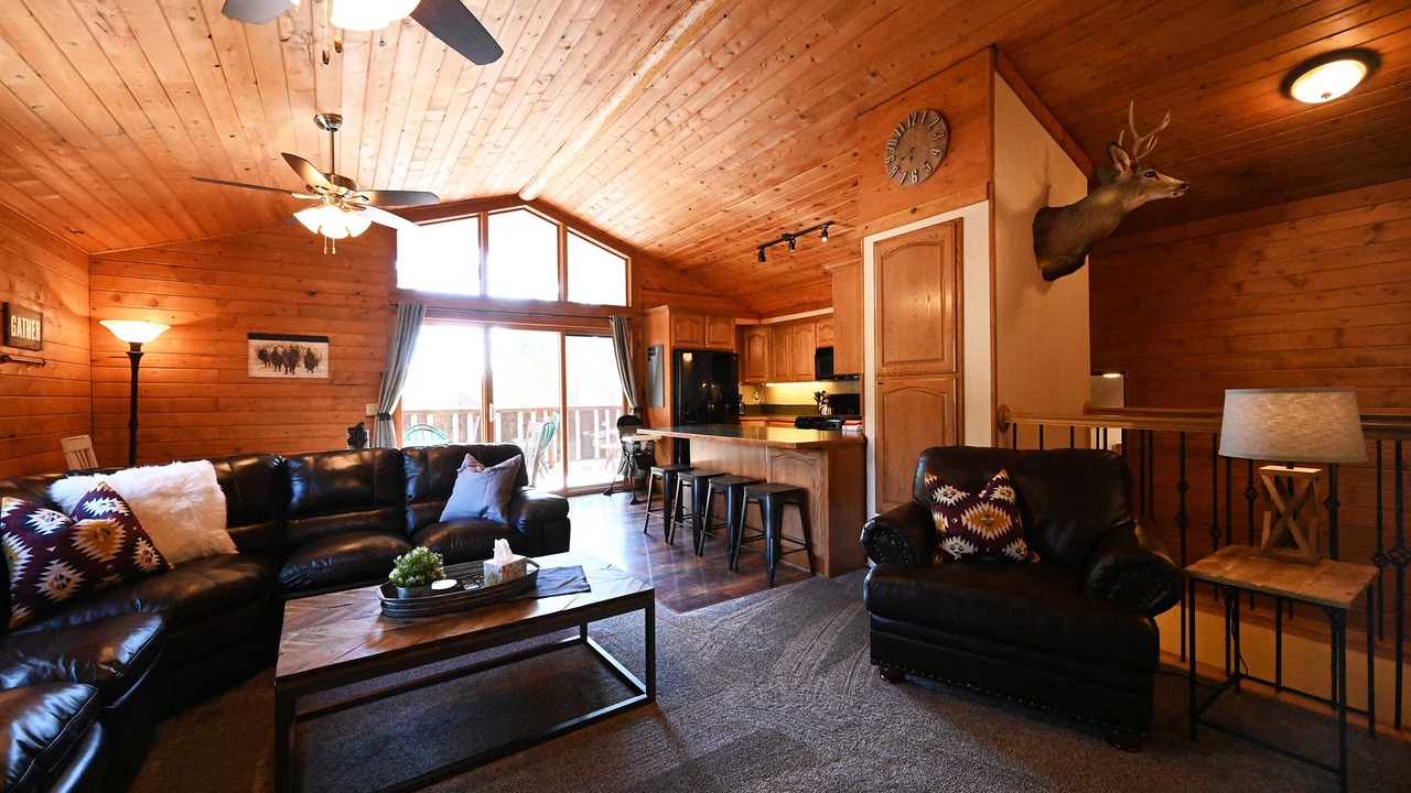 Photo of Livingroom in Island Park