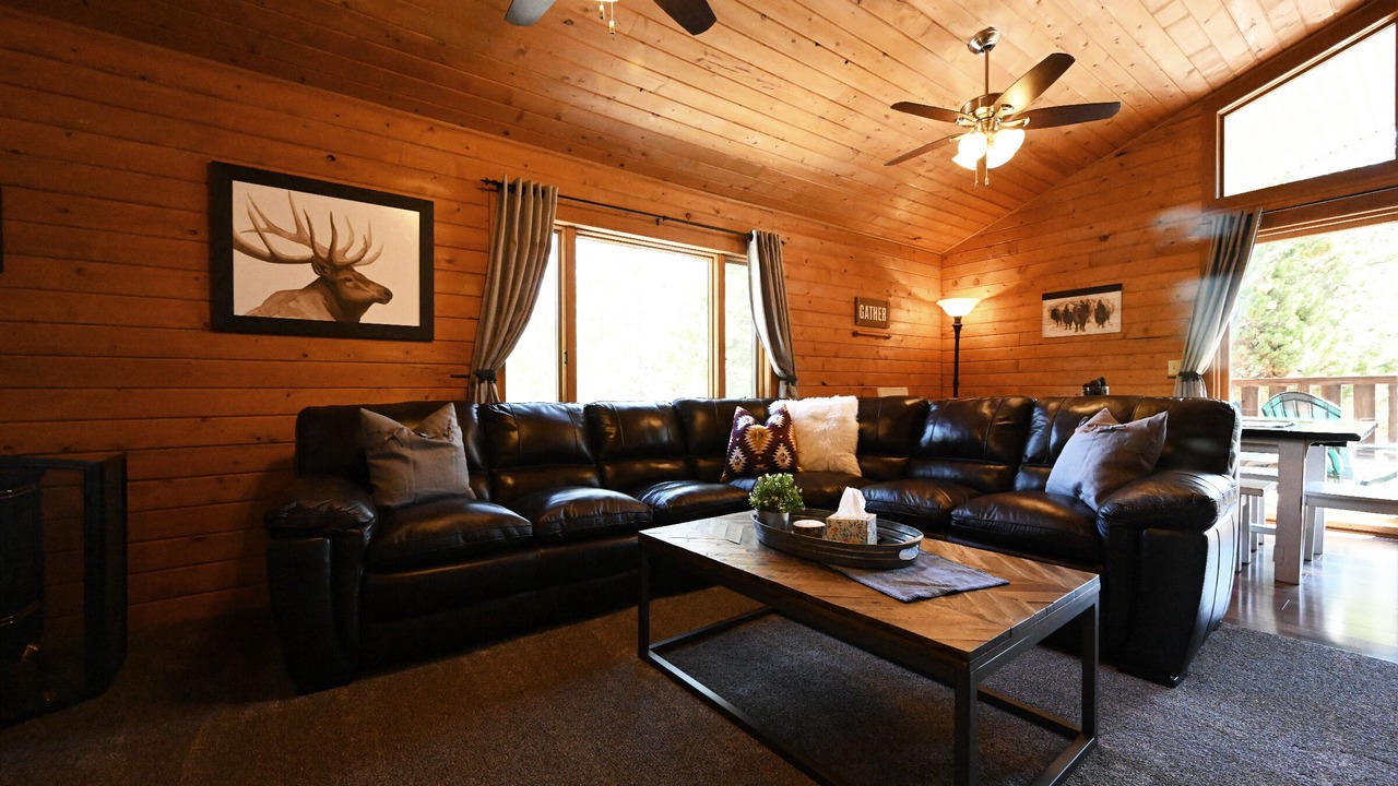 Photo of Livingroom in Island Park