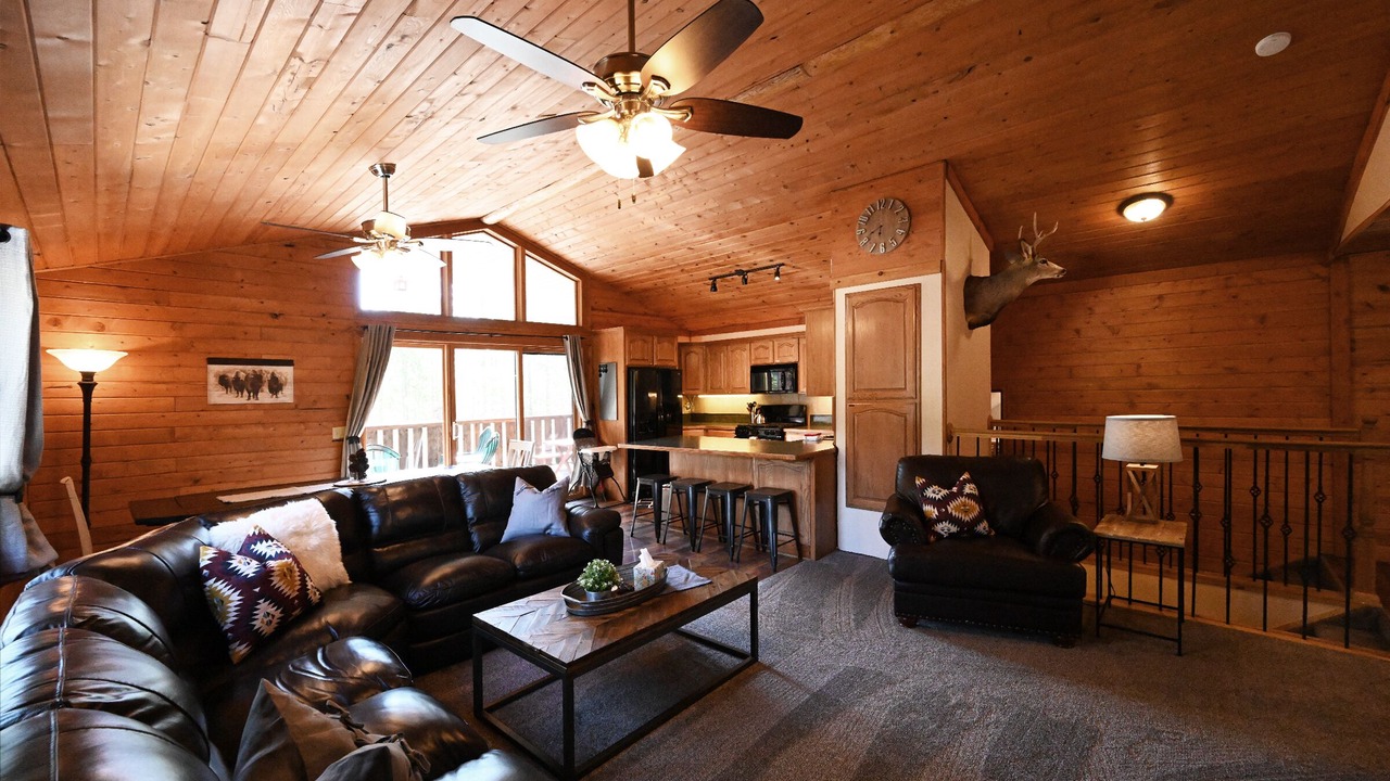 Photo of Livingroom in Island Park
