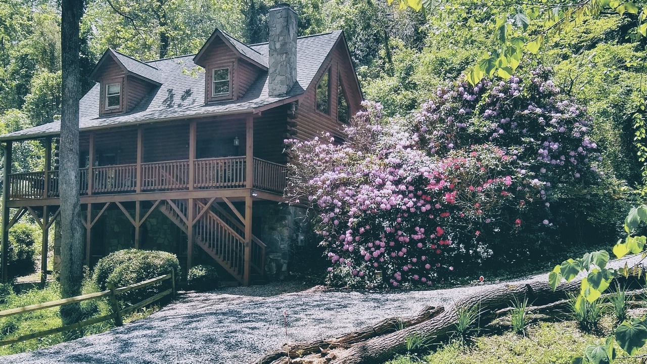 Photo of Others in Weaverville