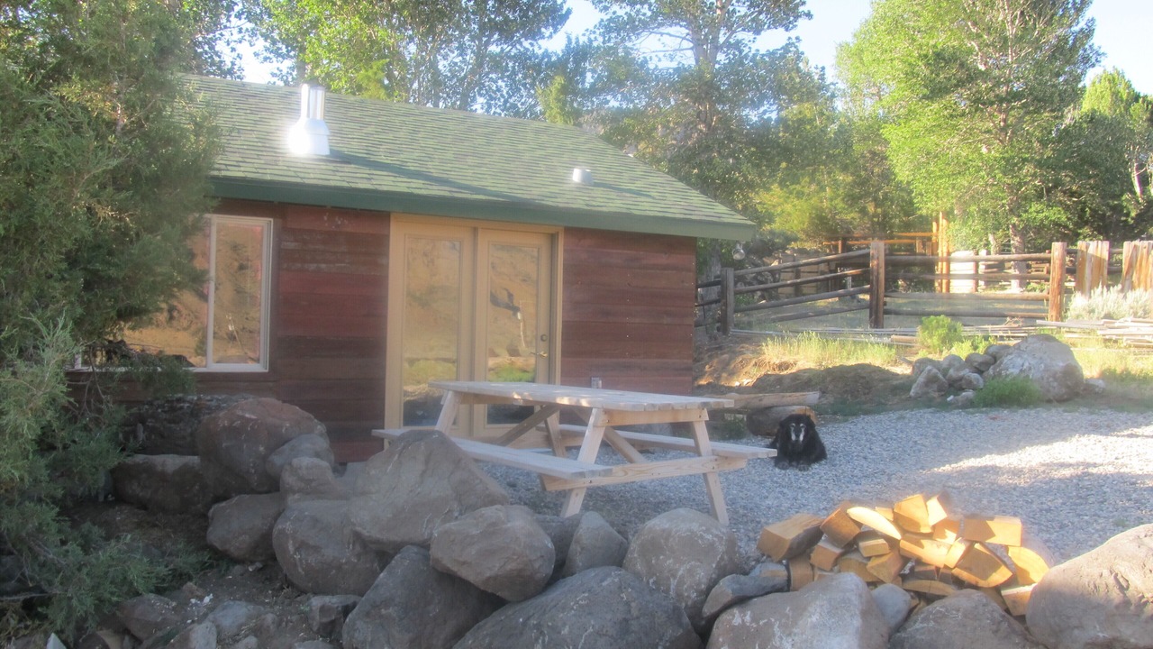 Photo of Others in Wapiti