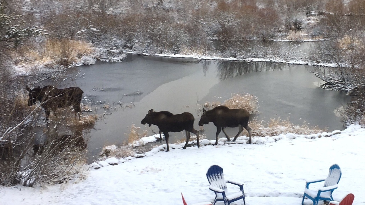 Photo of Others in Blue River