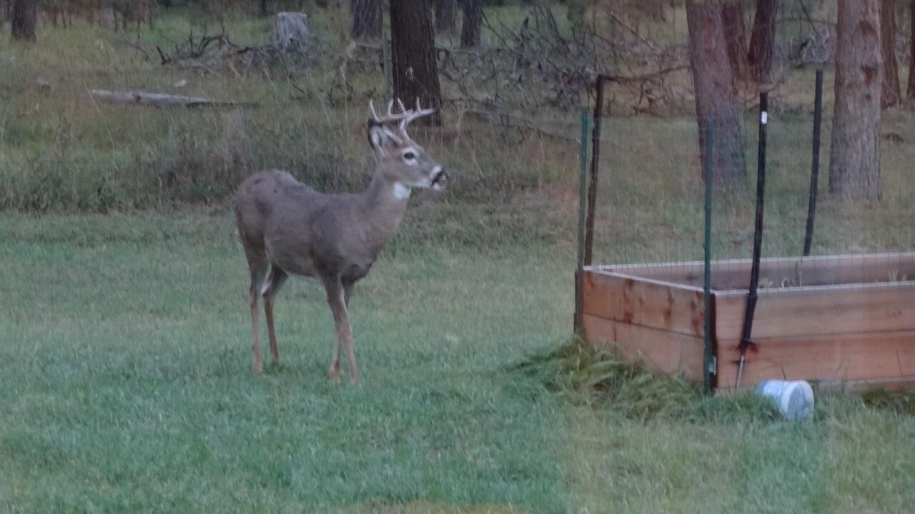 Photo of Others in Custer