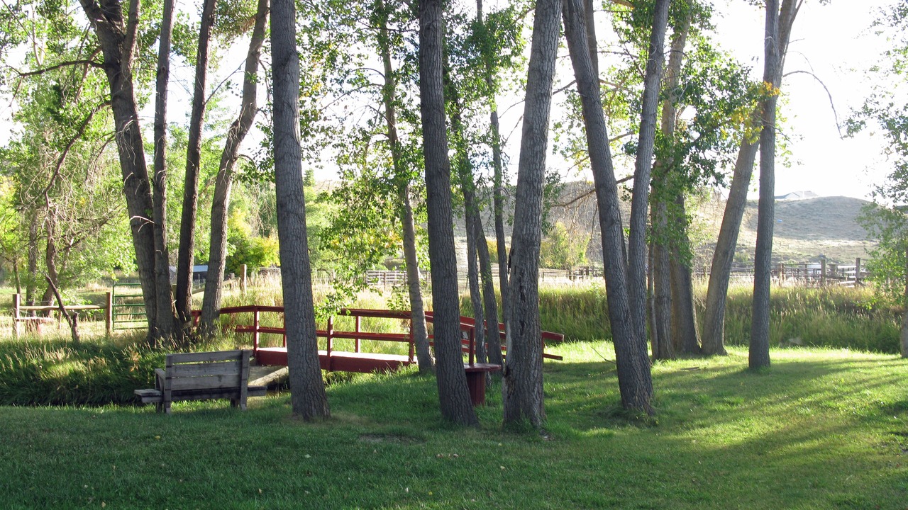 Photo of Outdoor in Buffalo