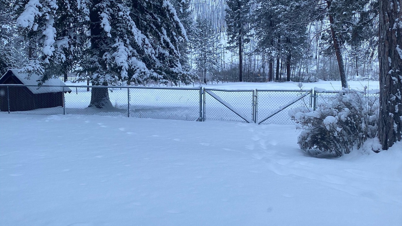 Photo of Outdoor in Lolo