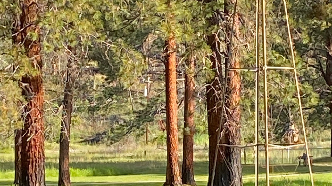 Photo of Others in Lolo