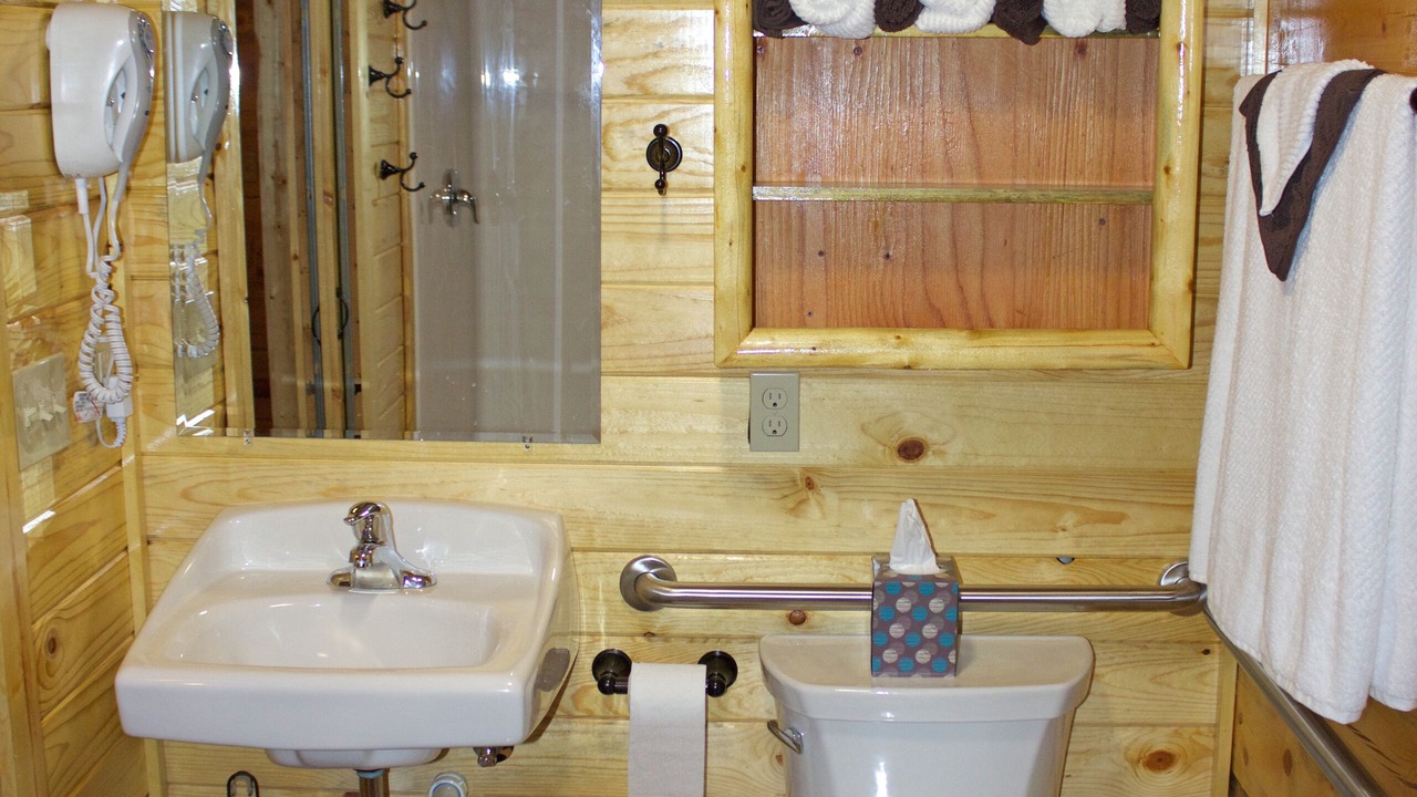Photo of Bathroom in Belt