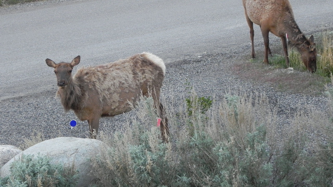 Photo of Others in Gardiner