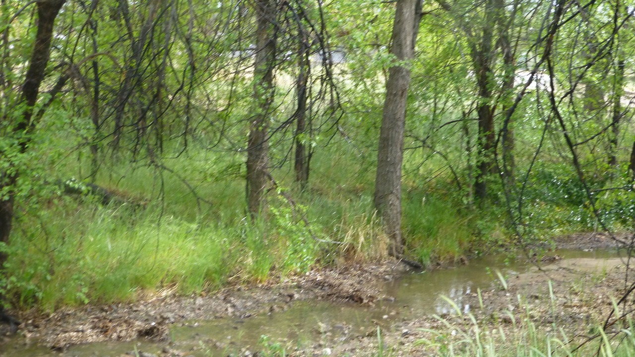 Photo of Others in Prescott