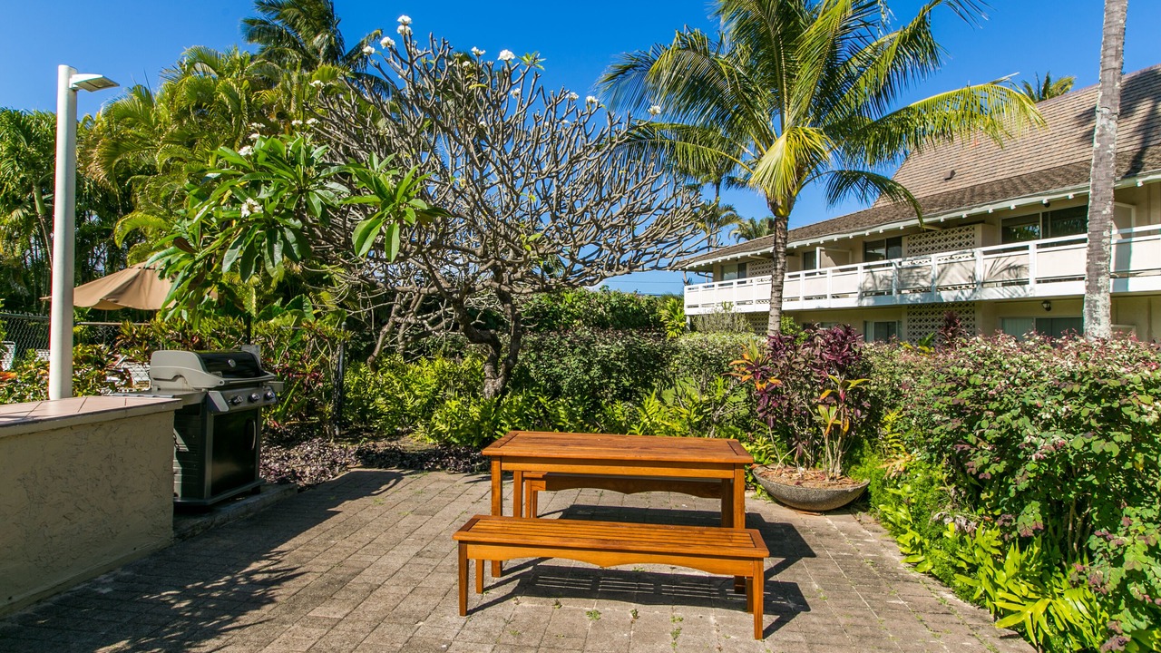 Photo of Outdoor in Wailua