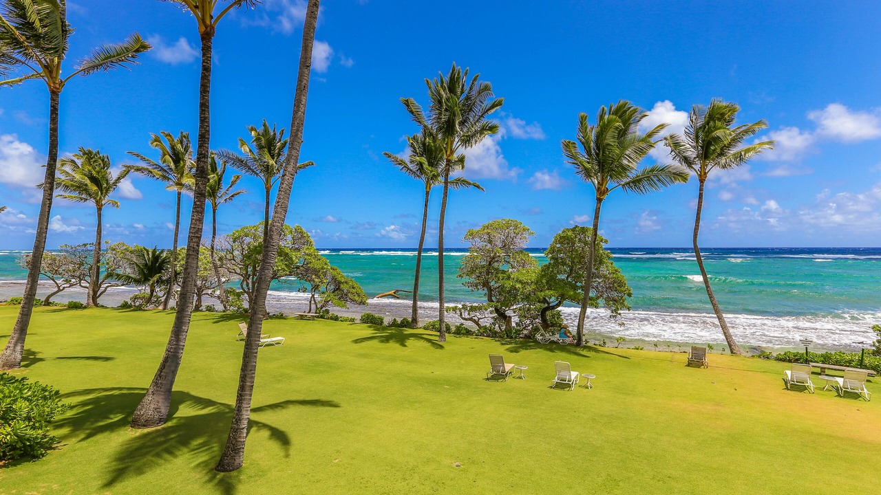 Photo of Others in Wailua