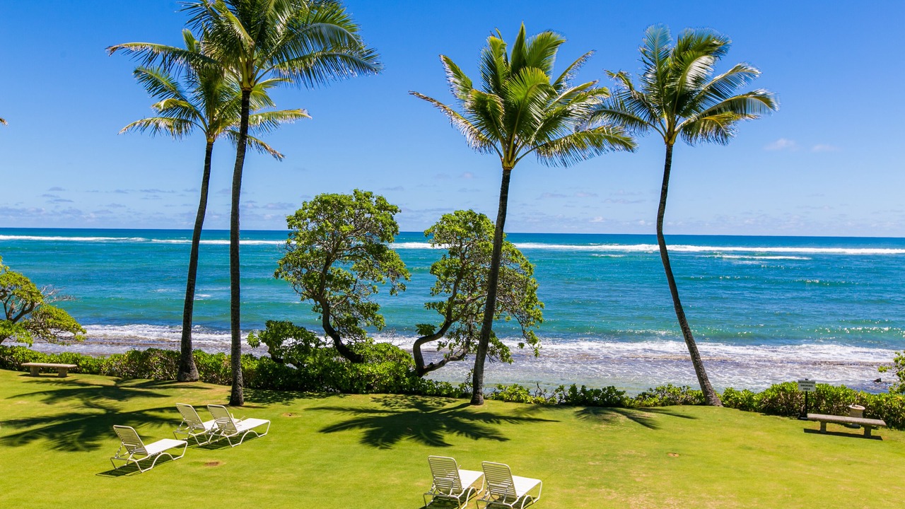 Photo of Outdoor in Wailua