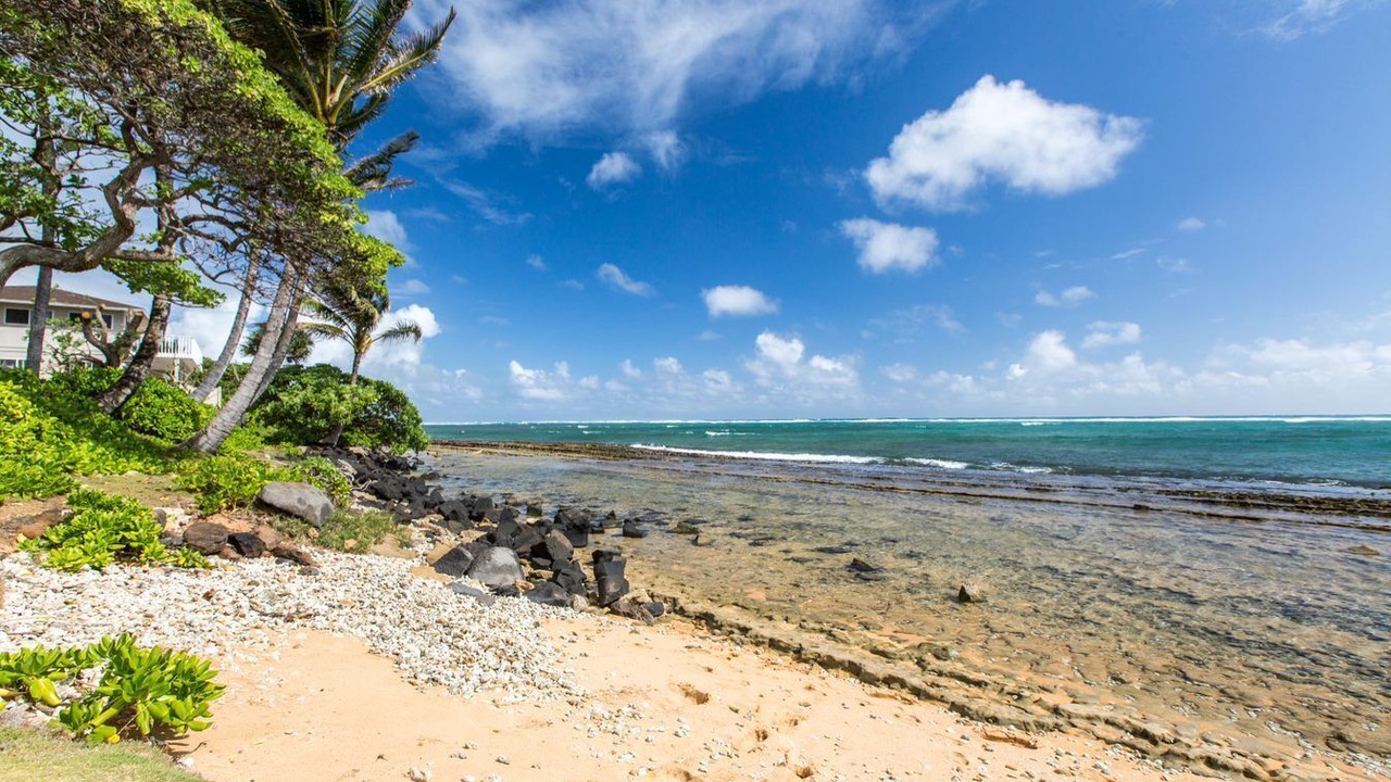 Photo of Others in Wailua