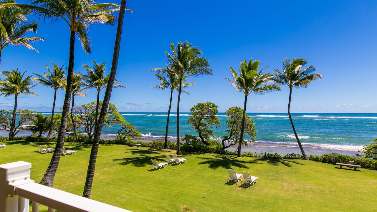Photo of Others in Wailua