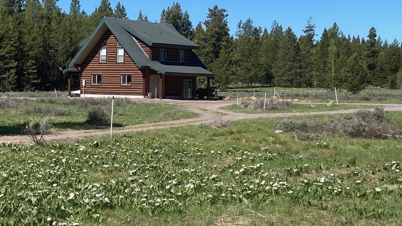 Photo of Outdoor in Island Park