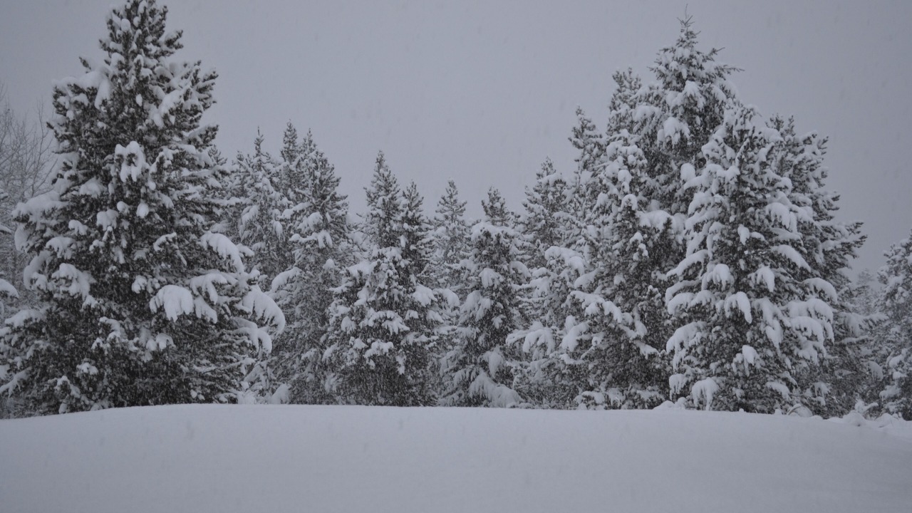 Photo of Outdoor in Island Park