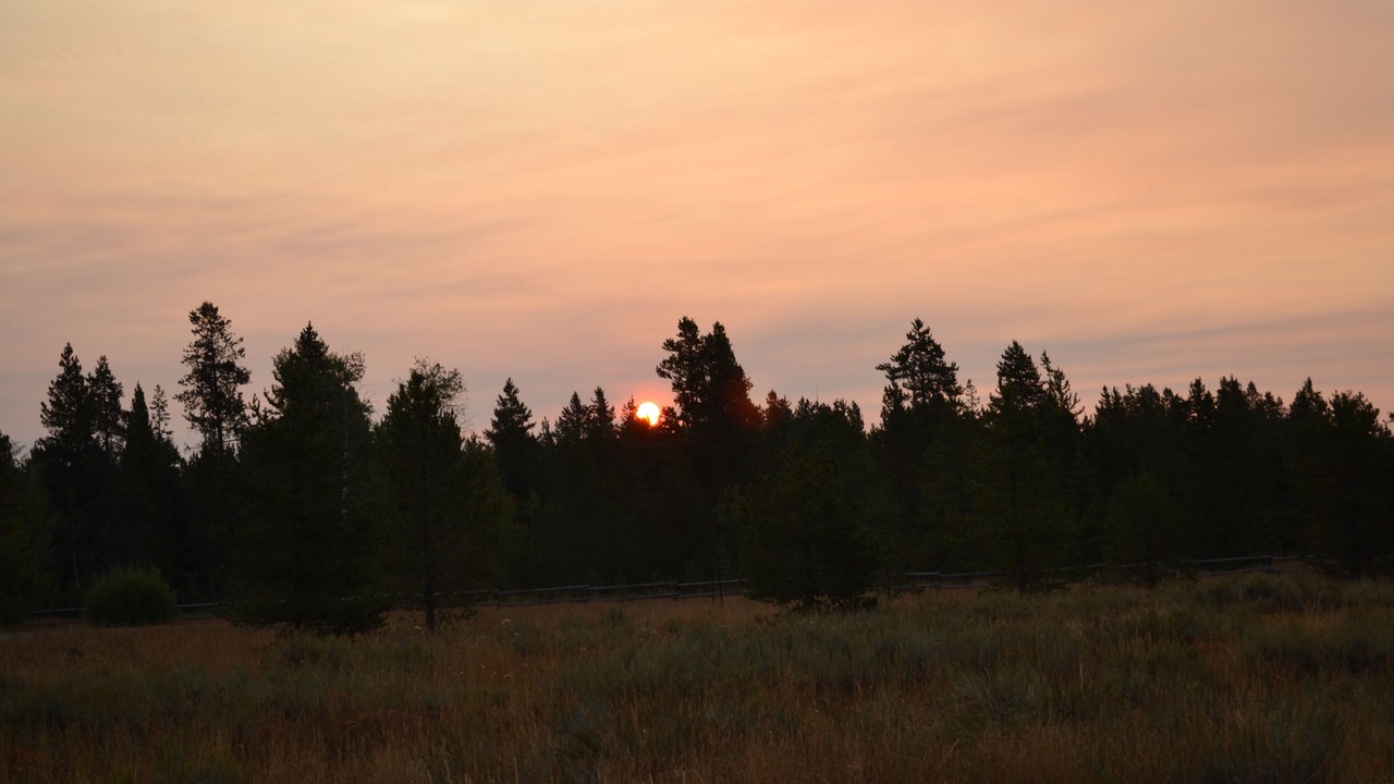 Photo of Outdoor in Island Park