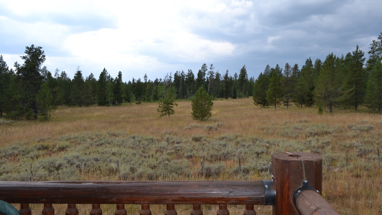Photo of Outdoor in Island Park