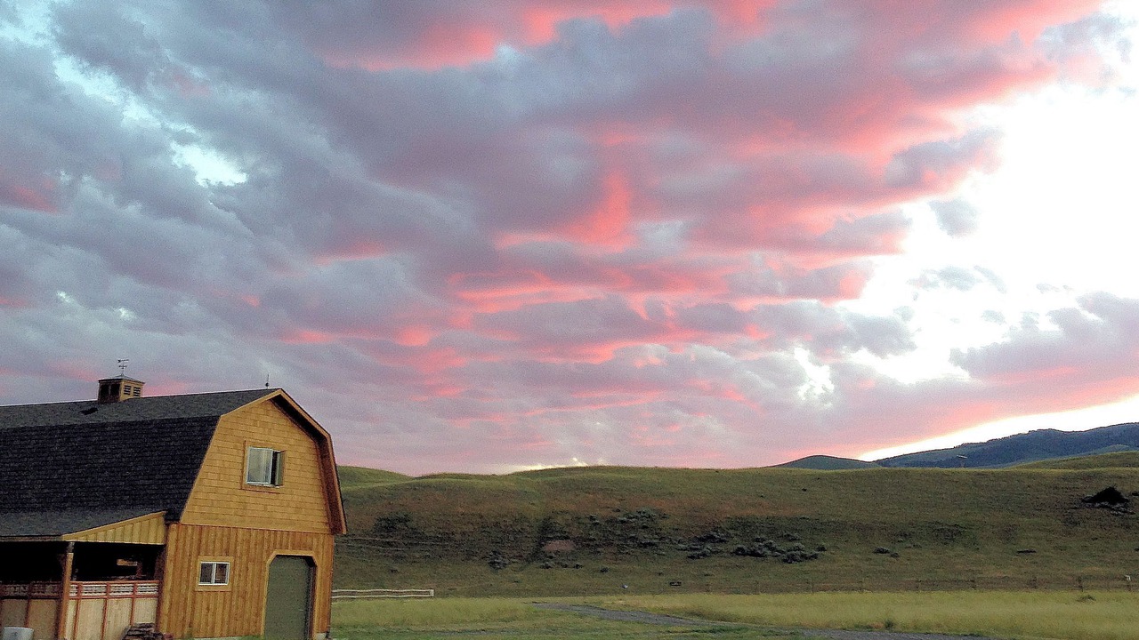 Photo of Outdoor in Livingston