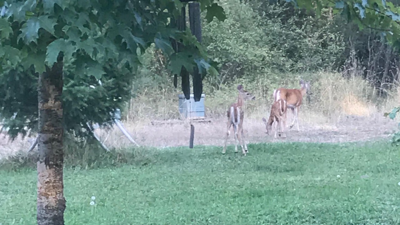 Photo of Others in Post Falls