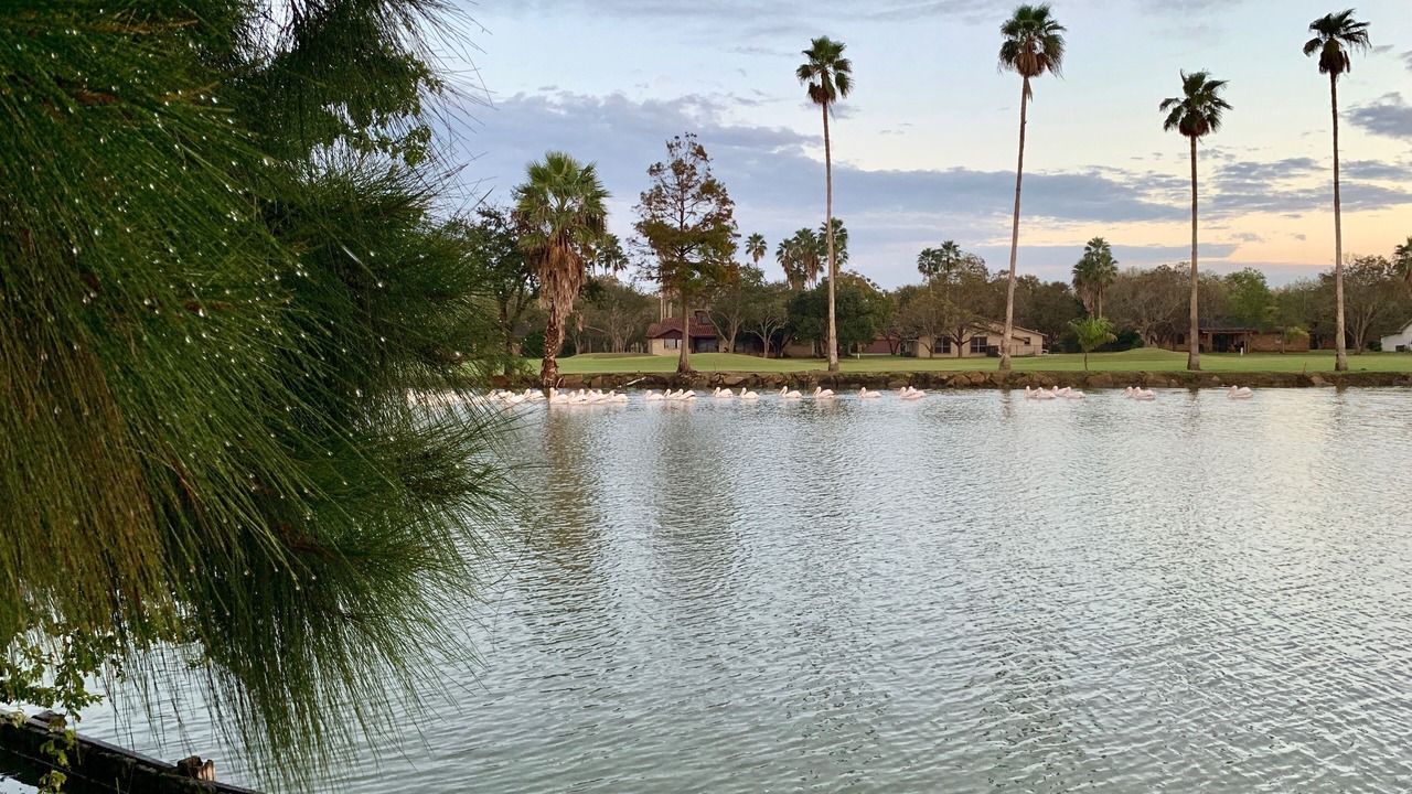 Photo of Outdoor in Rancho Viejo