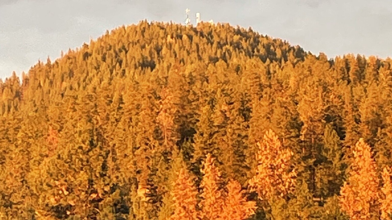Photo of Others in Coeur d'Alene