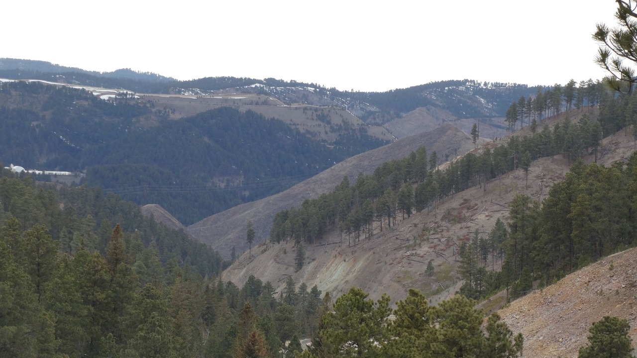 Photo of Others in Deadwood