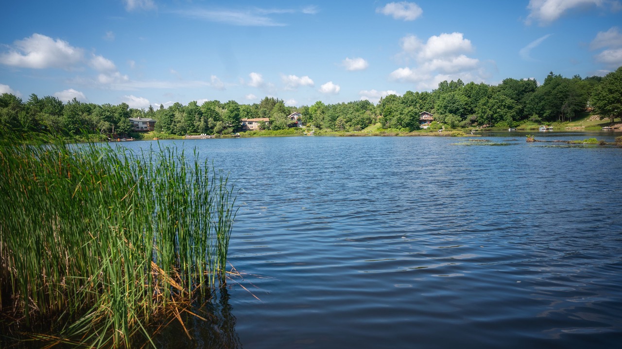 Photo of Outdoor in Long Pond