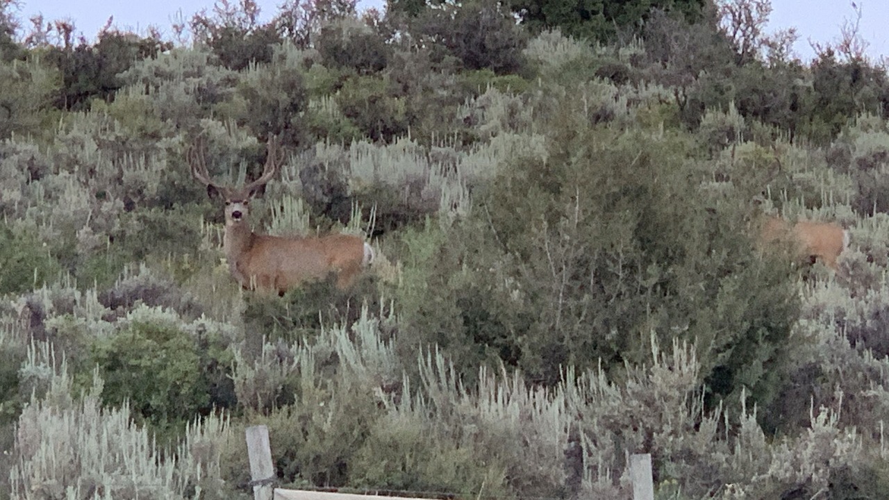 Photo of Outdoor in Harbor Village