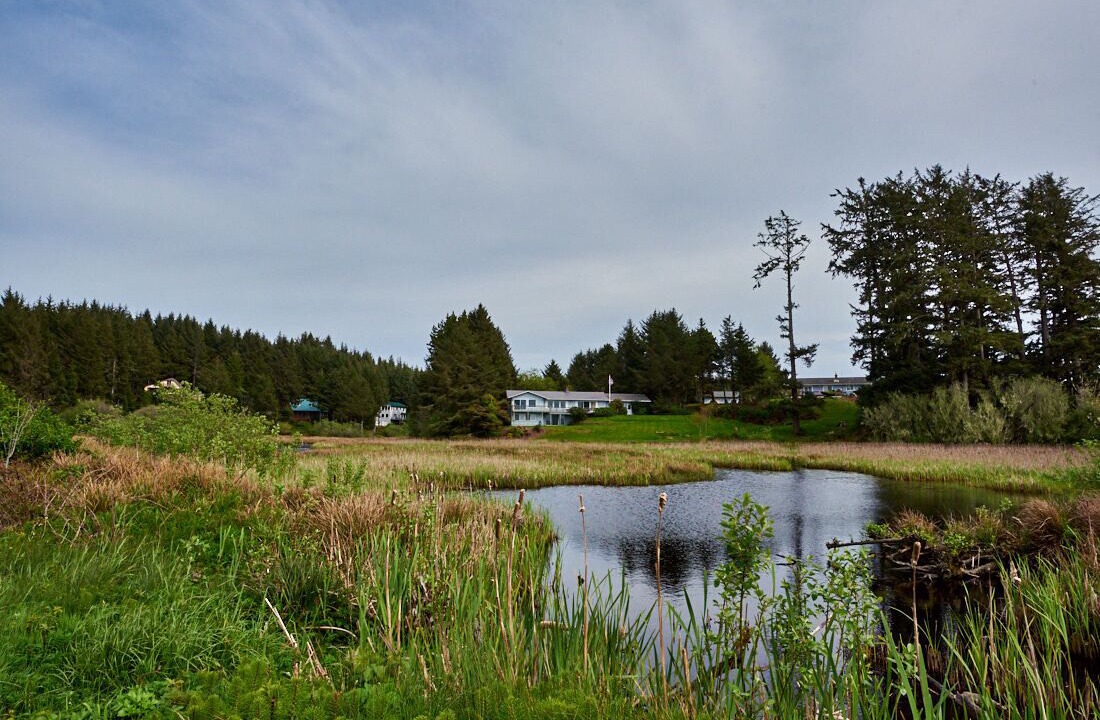 Photo of Outdoor in Tillamook
