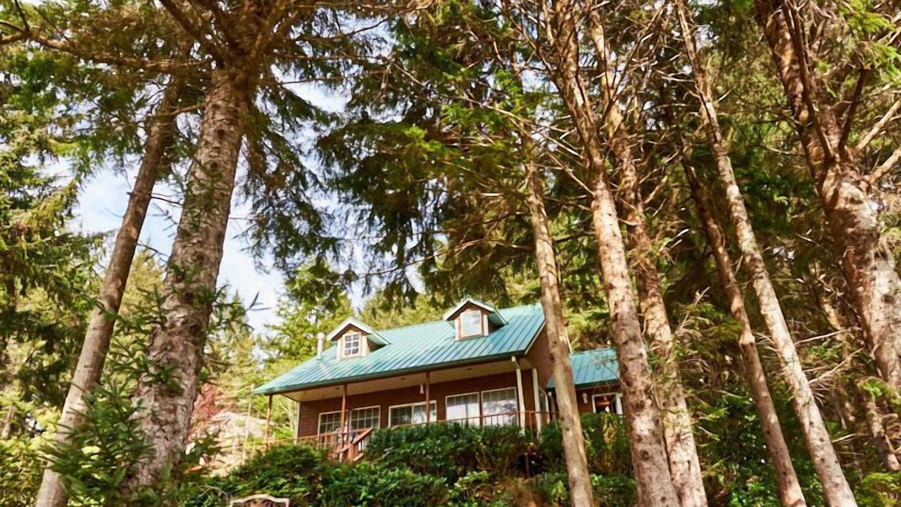 Photo of Outdoor in Tillamook