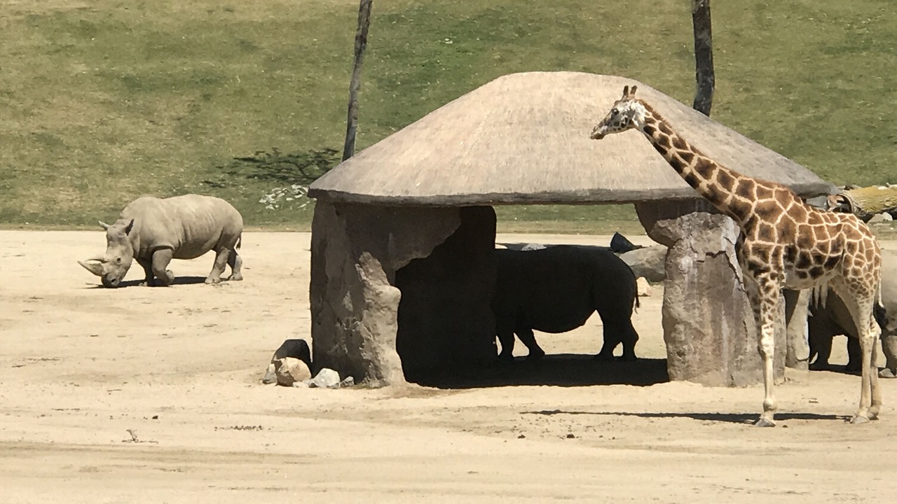 Photo of Others in Clairemont Mesa West
