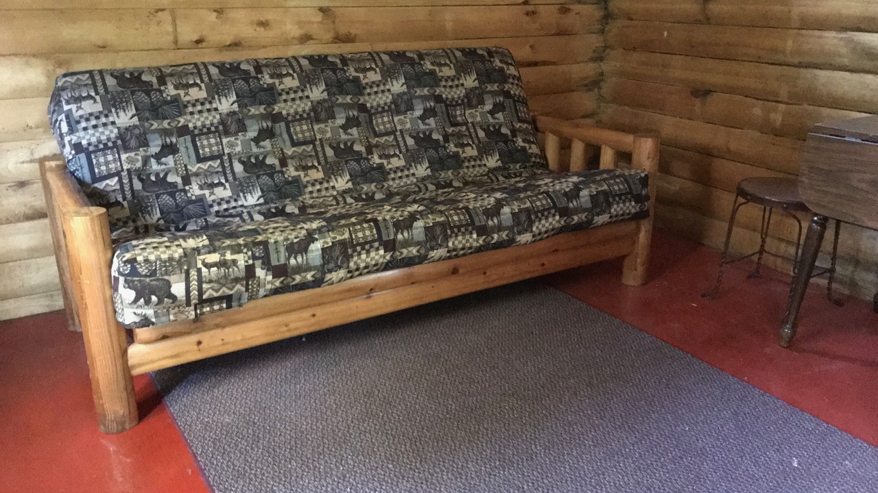 Photo of Livingroom in Park Rapids