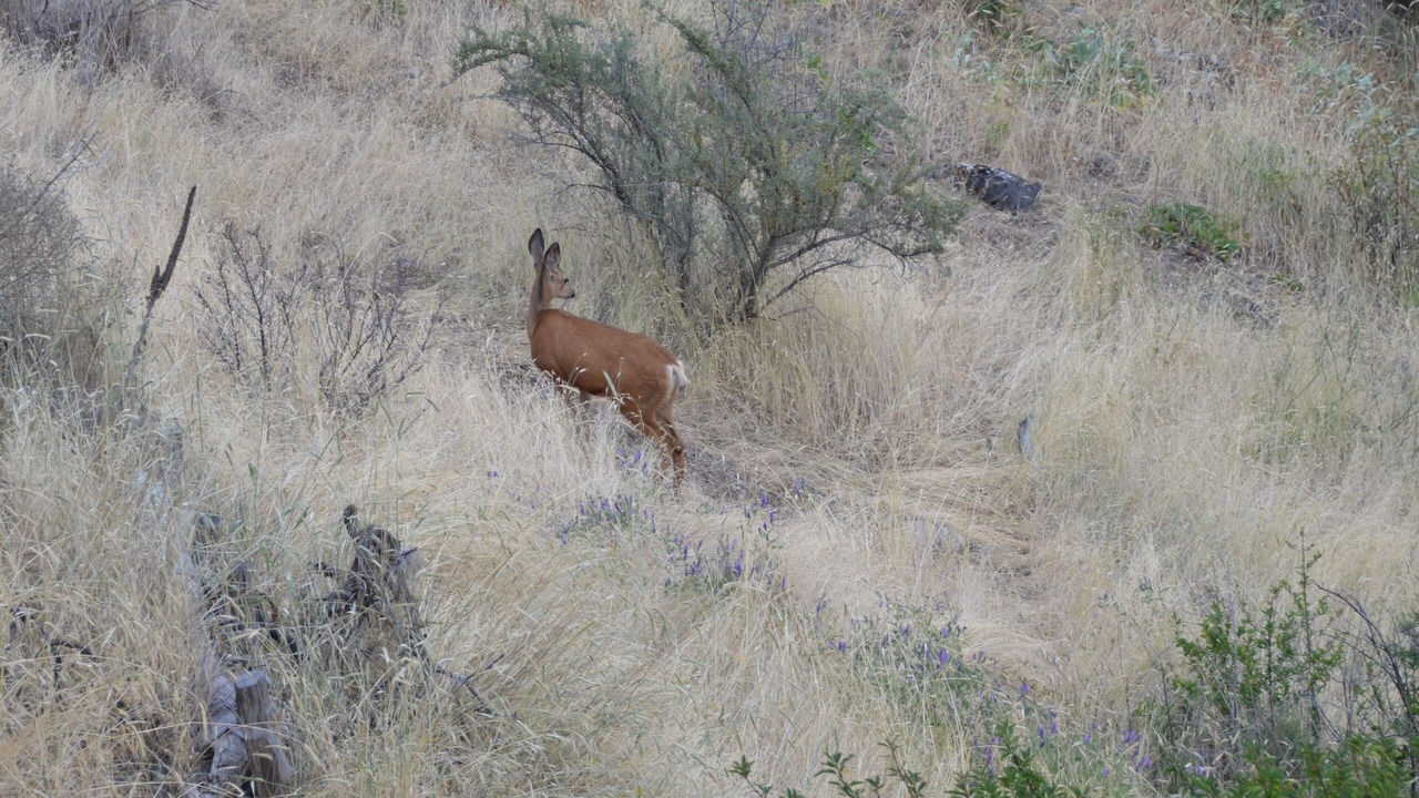 Photo of Others in Manson