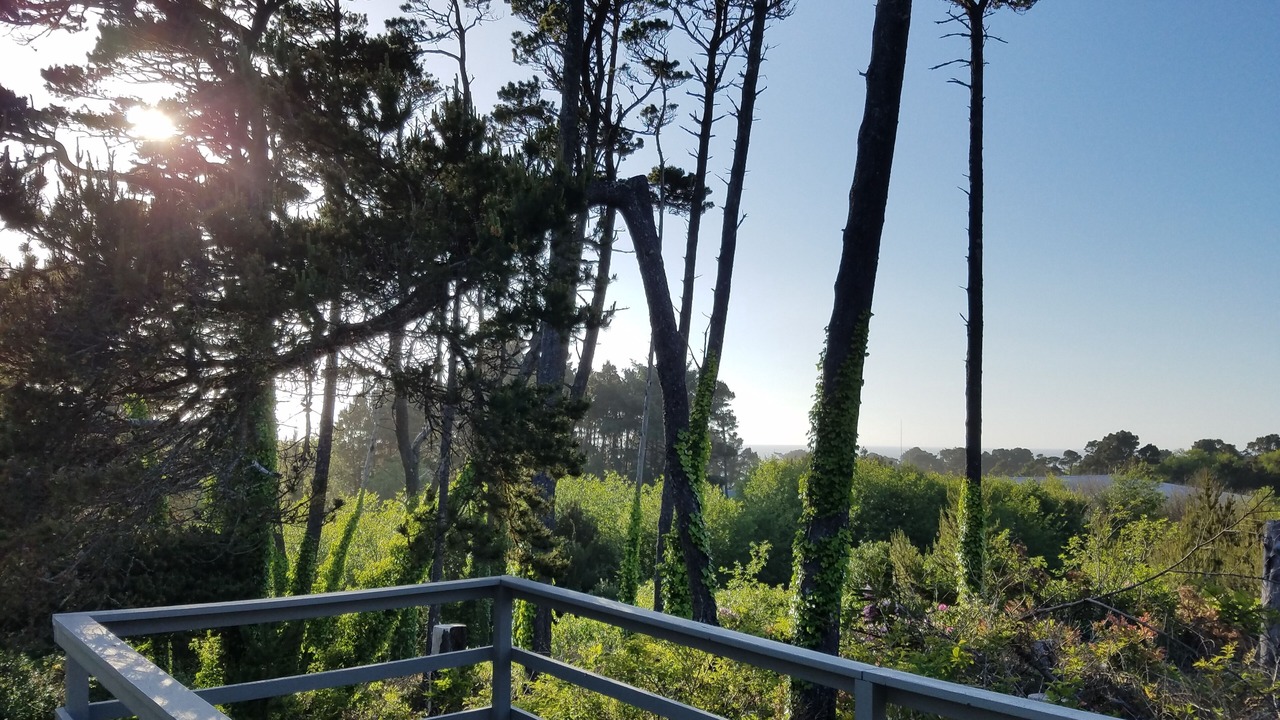 Photo of Outdoor in Seal Rock