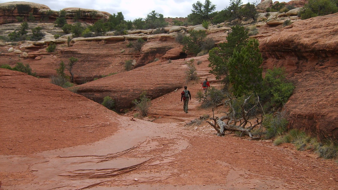 Photo of Others in Moab South Valley