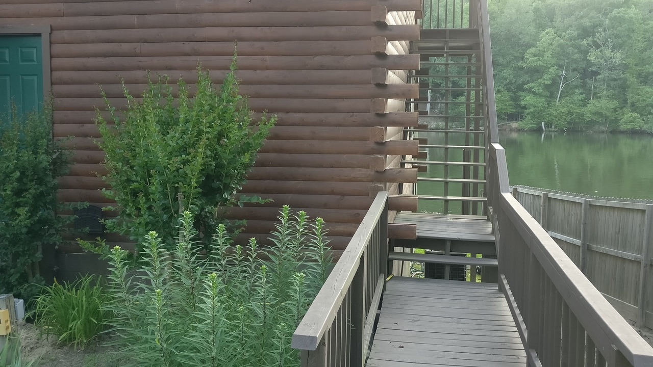 Photo of Outdoor in Mountain Pine