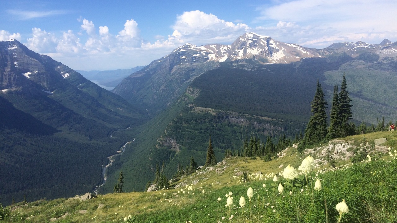 Photo of Others in West Glacier
