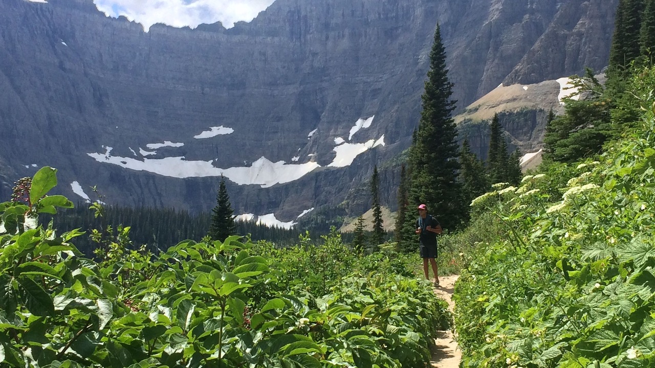 Photo of Others in West Glacier