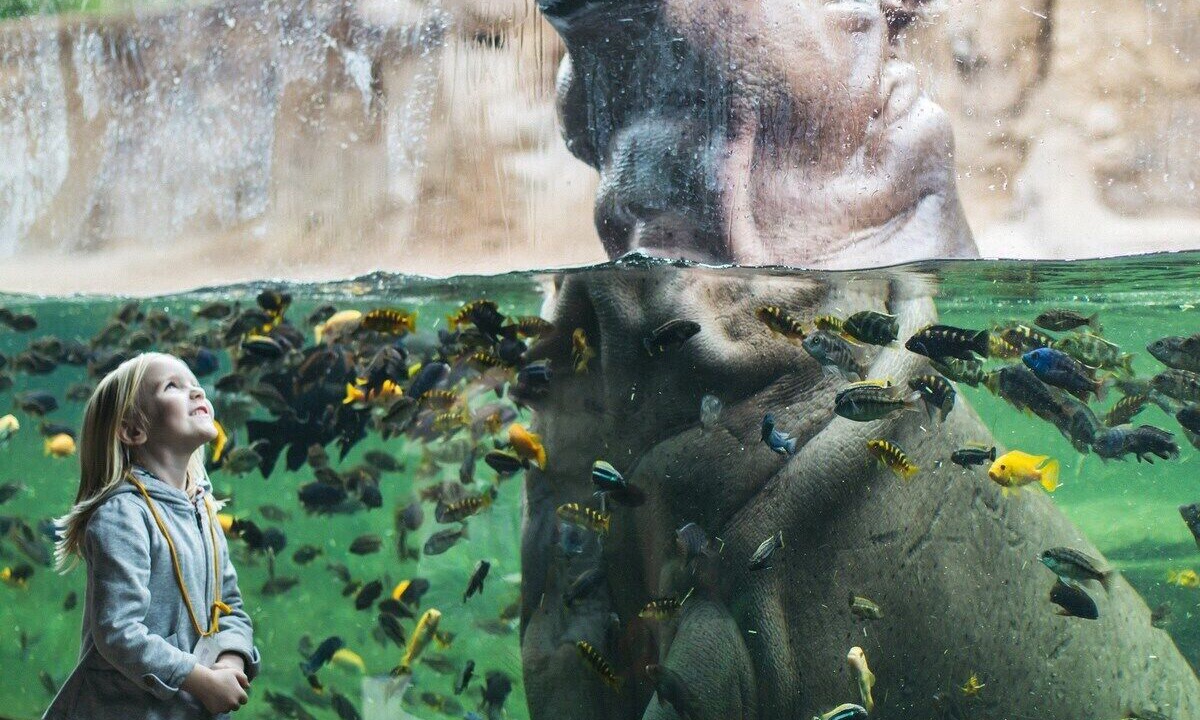 Photo of Others in Mahncke Park