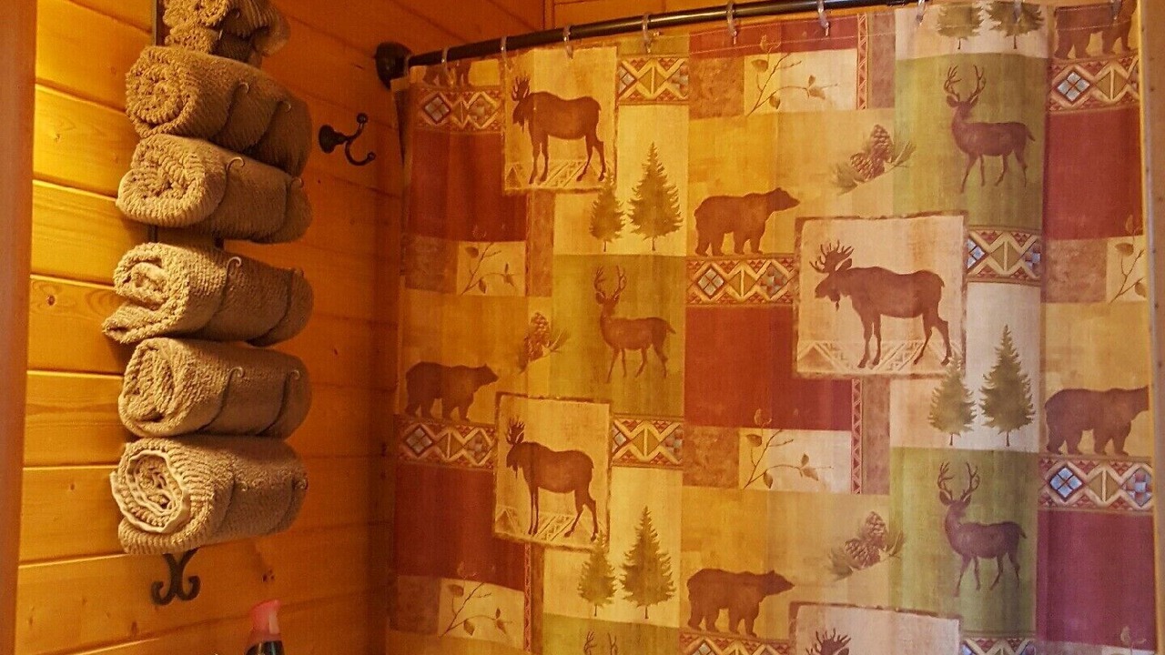 Photo of Bathroom in Seeley Lake