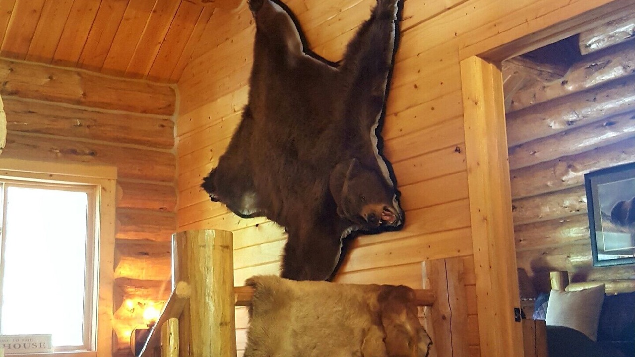 Photo of Others in Seeley Lake