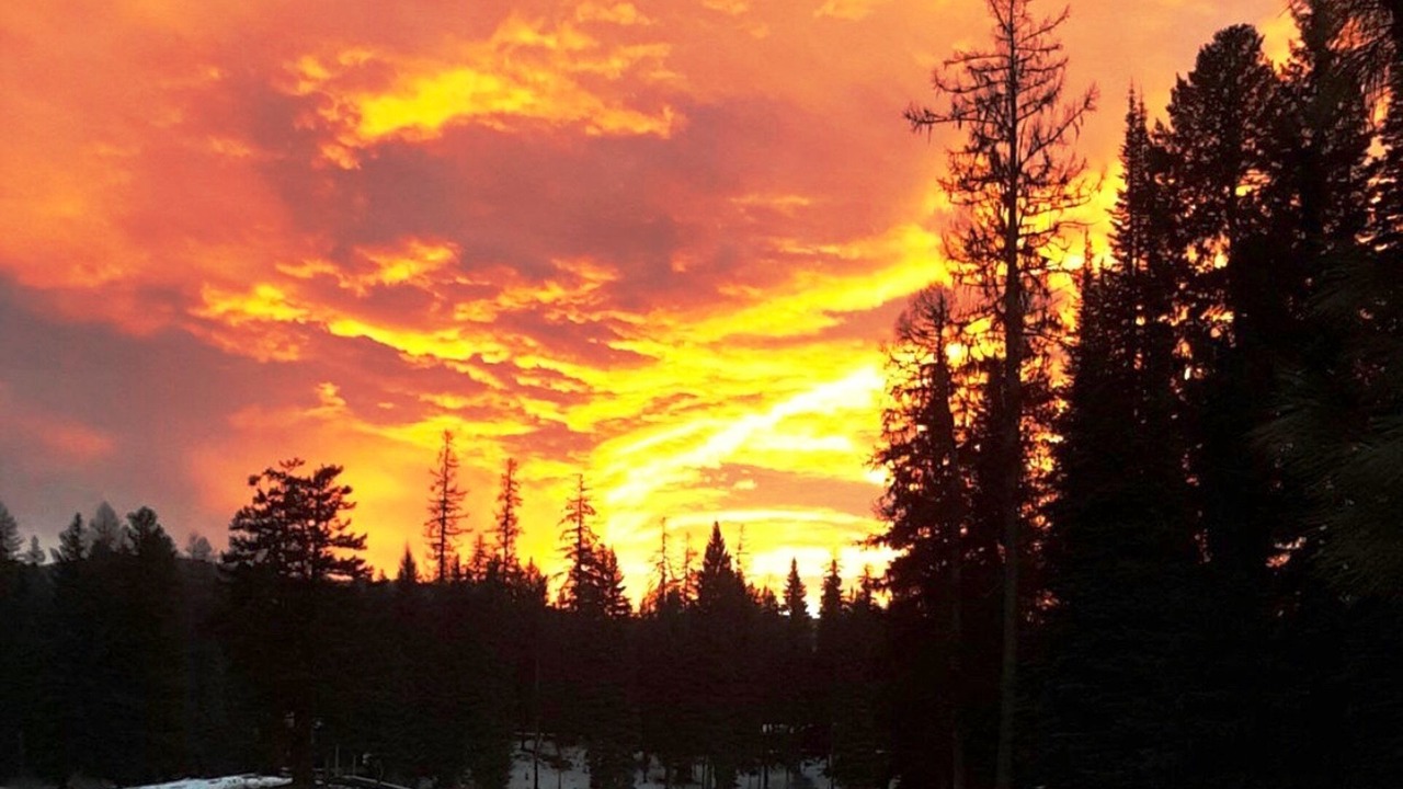 Photo of Others in Seeley Lake