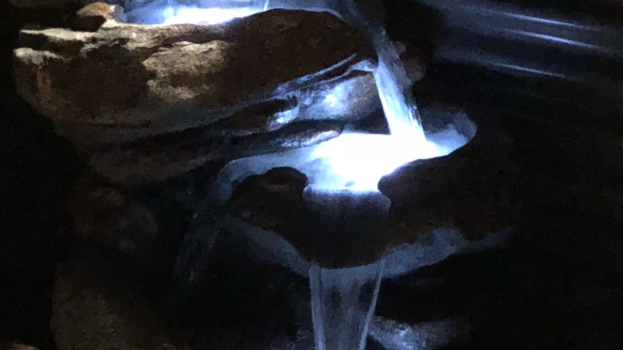 Photo of Outdoor in Fredericksburg