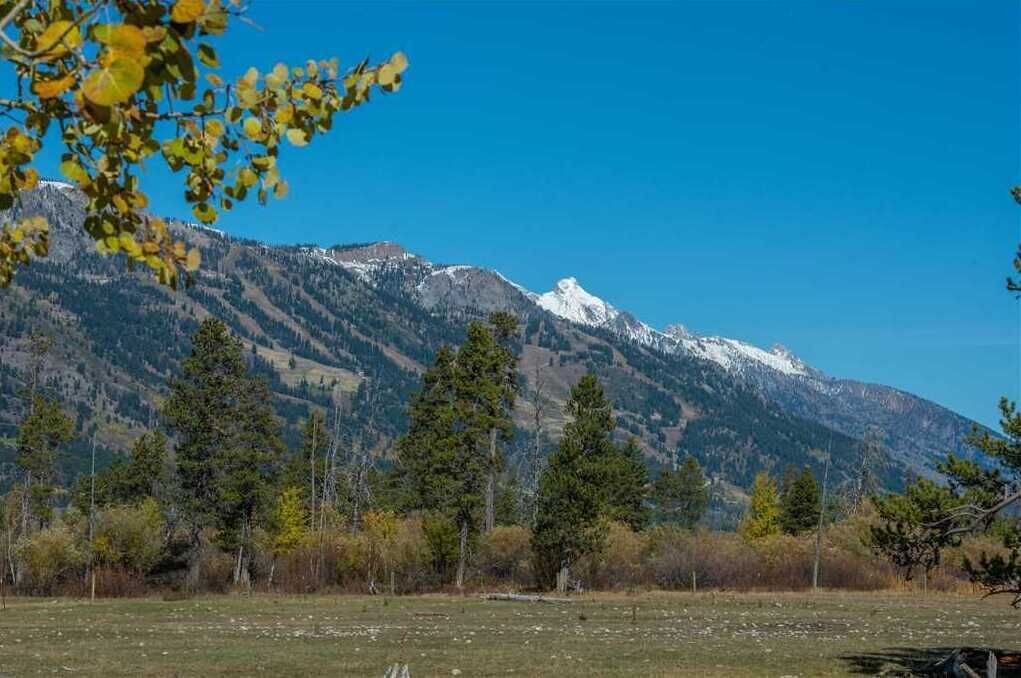 Photo of Others in Moose Wilson Road