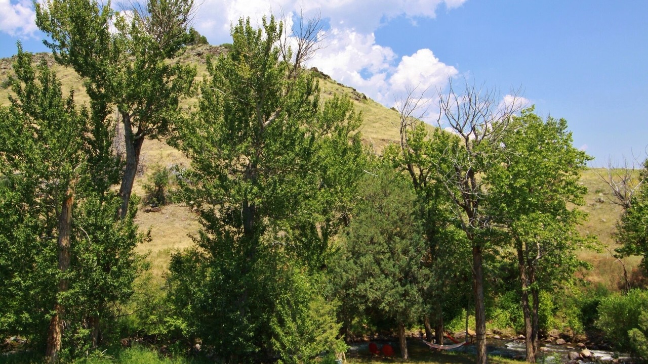 Photo of Others in Emigrant