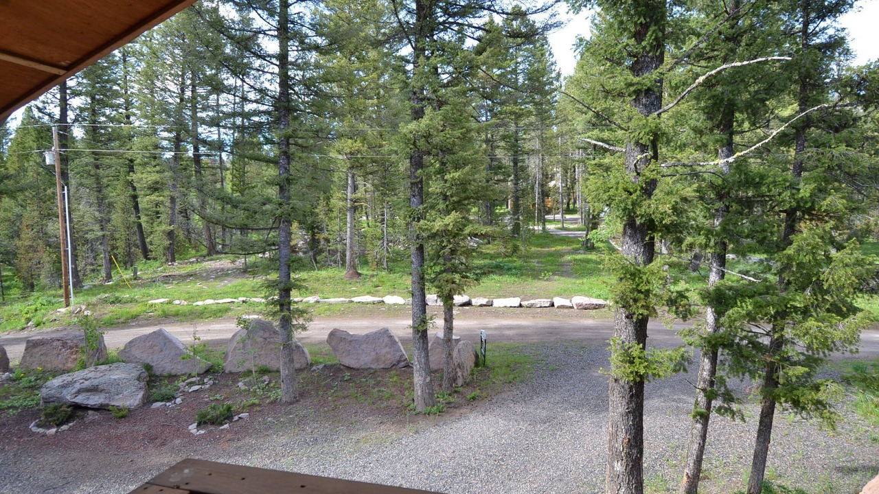 Photo of Others in Island Park