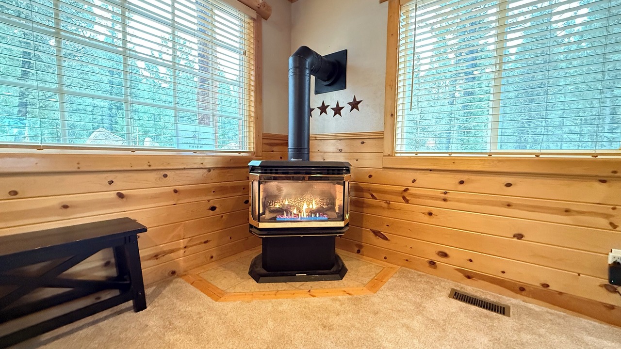 Photo of Livingroom in Island Park