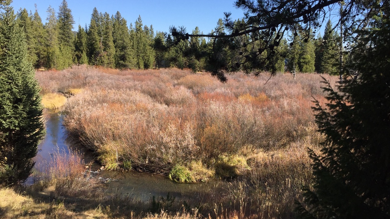 Photo of Outdoor in Island Park